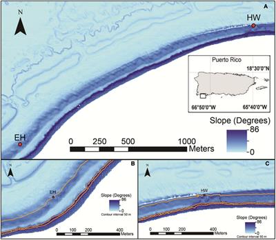 Intra-Annual Variation in Mesophotic Benthic Assemblages on the Insular Slope of Southwest Puerto Rico as a Function of Depth and Geomorphology